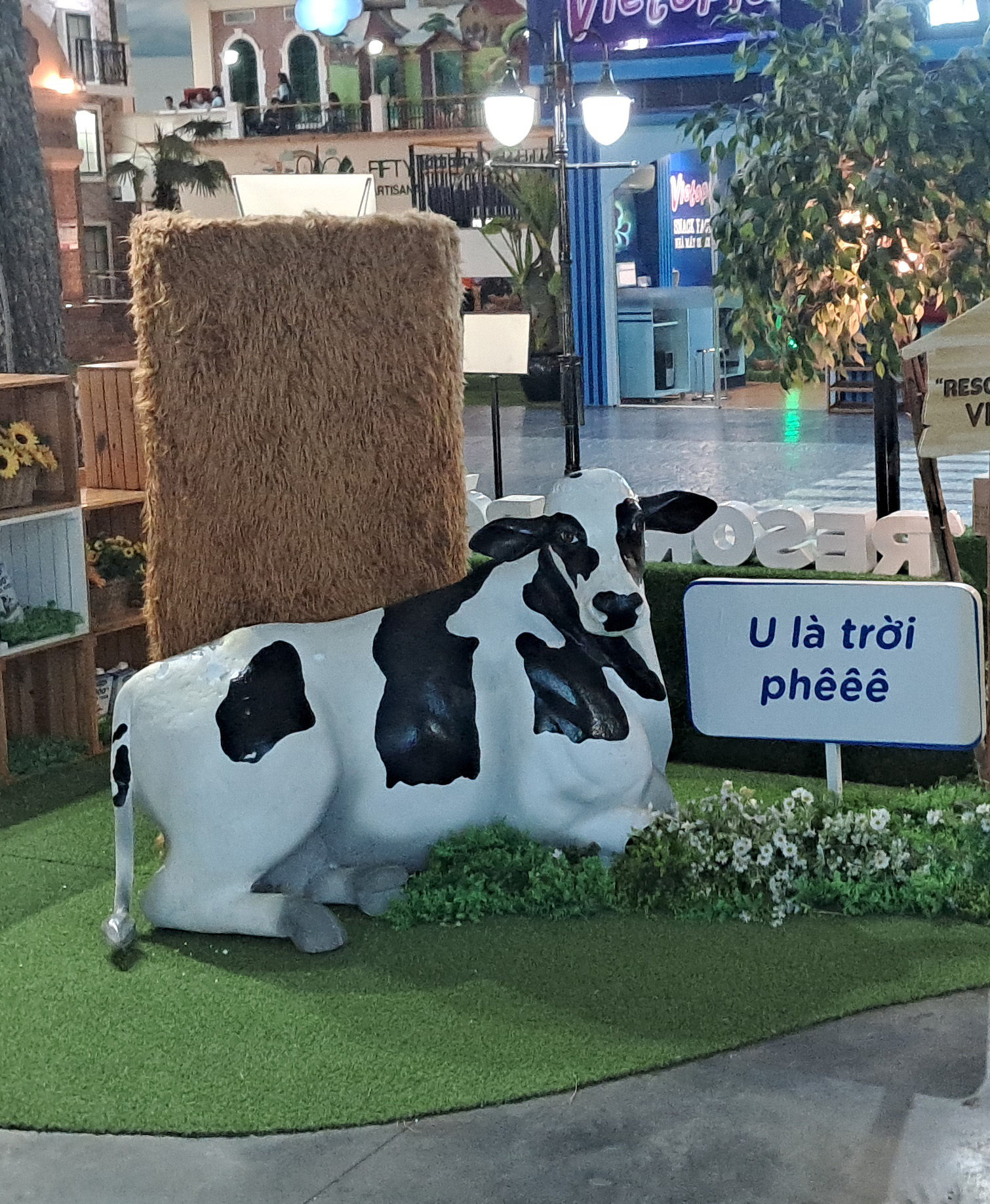 Trung Tâm Đào Tạo Hoàng Nguyên