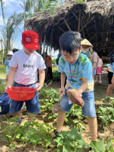 Trung Tâm Đào Tạo Hoàng Nguyên