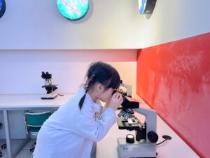 Trung Tâm Đào Tạo Hoàng Nguyên